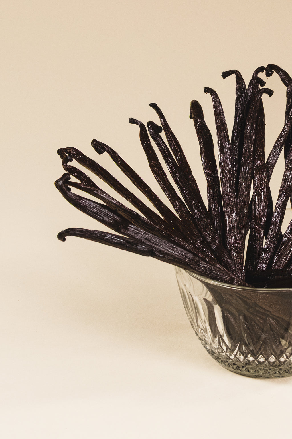 Gousses de vanille Gourmet de Madagascar dans un verre - Comptoir Manitra