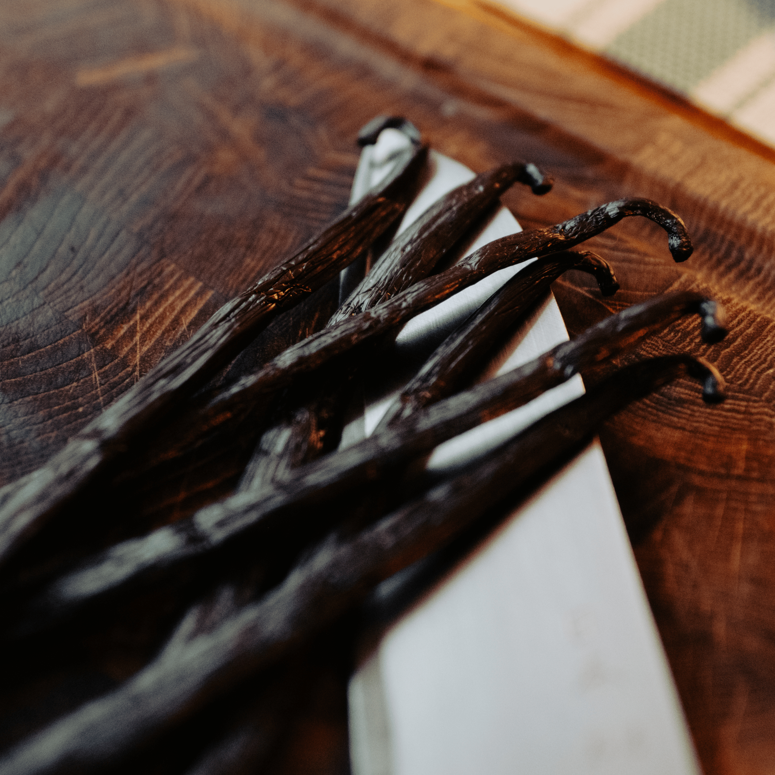 gousses_vanille_gourmet_xxl_madagascar