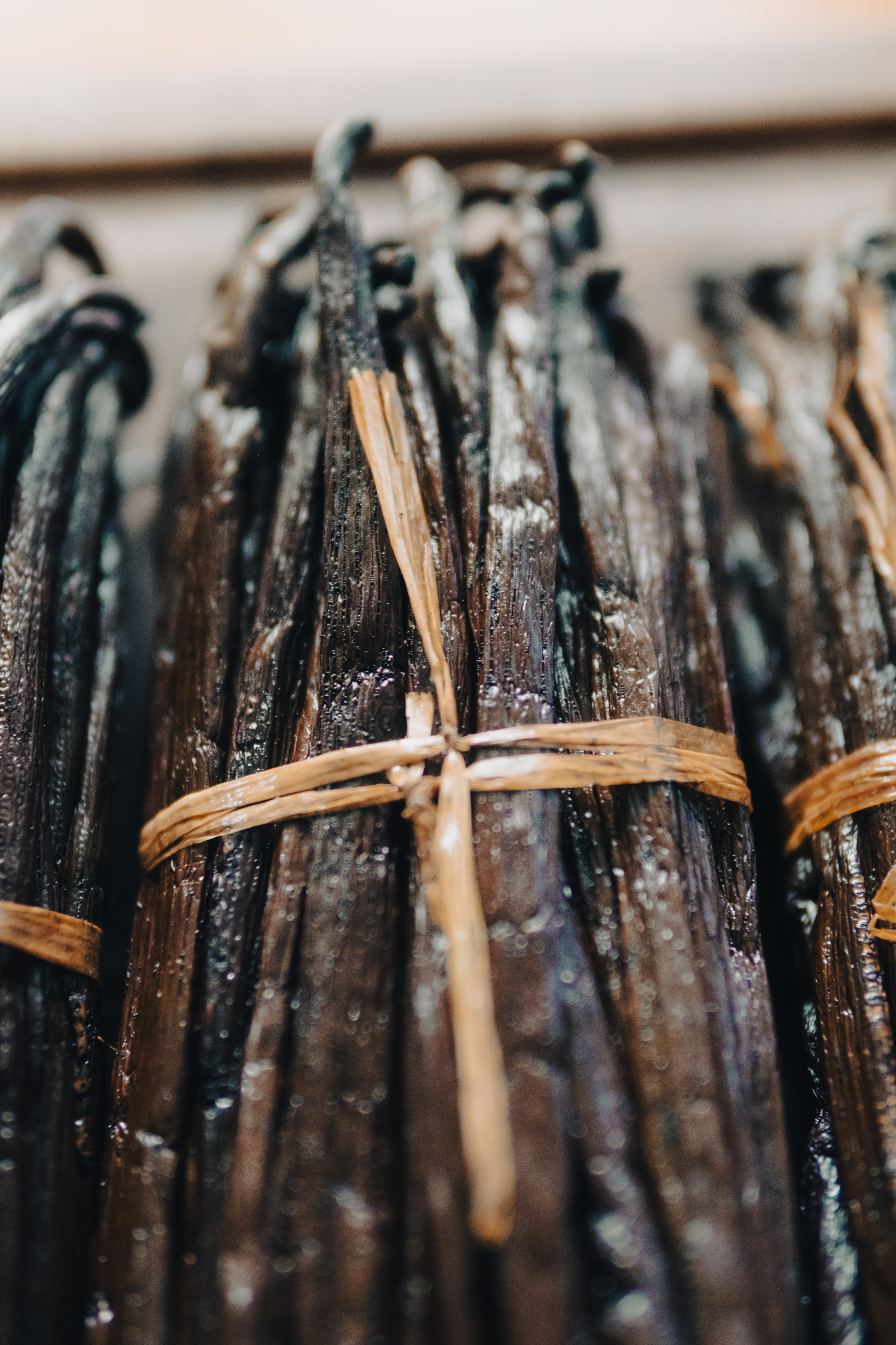 Vanille Bourbon Gourmet "Grand Cru" XXL (+18cm)