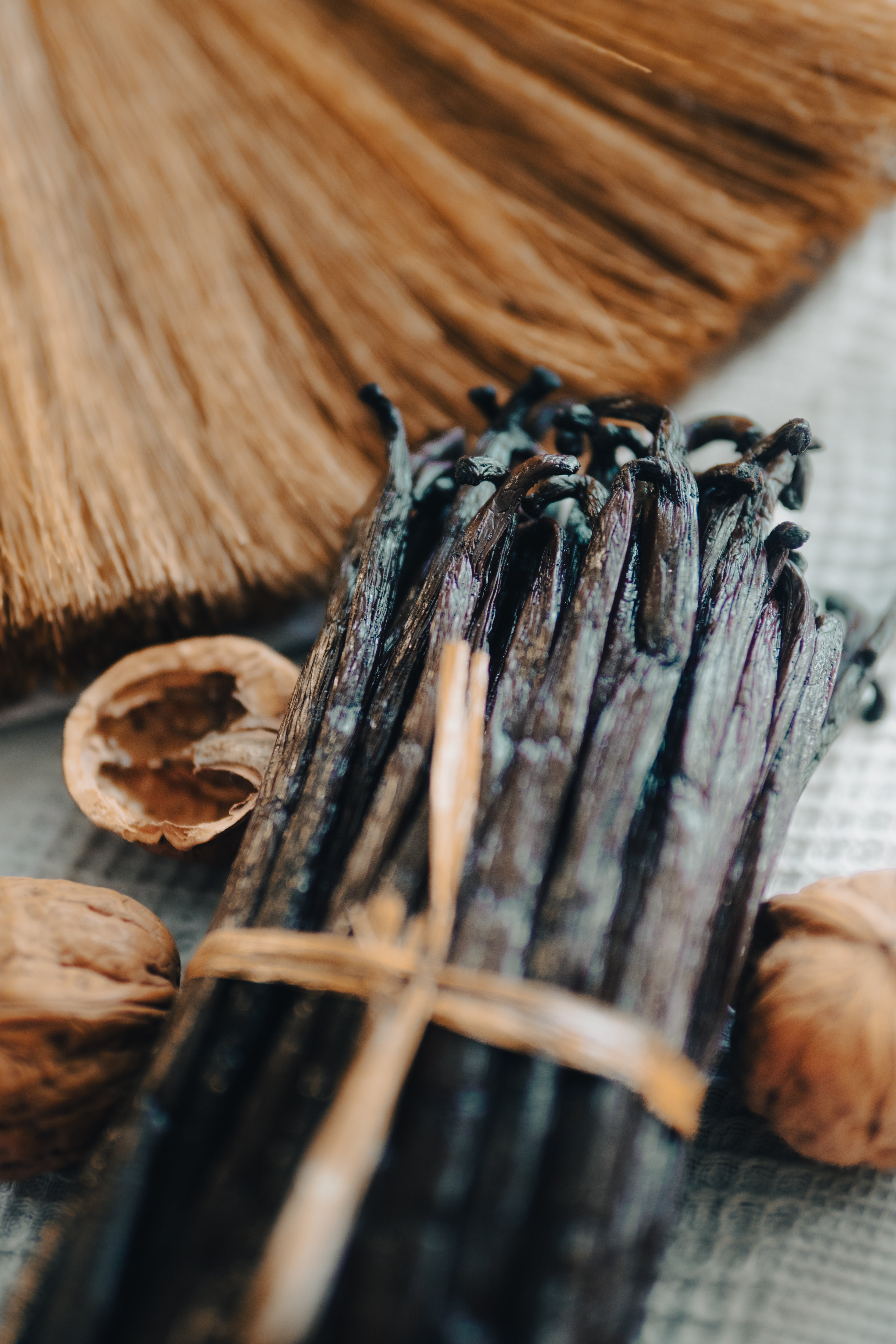 Vanille Bourbon Gourmet "Grand Cru" (15-17cm)