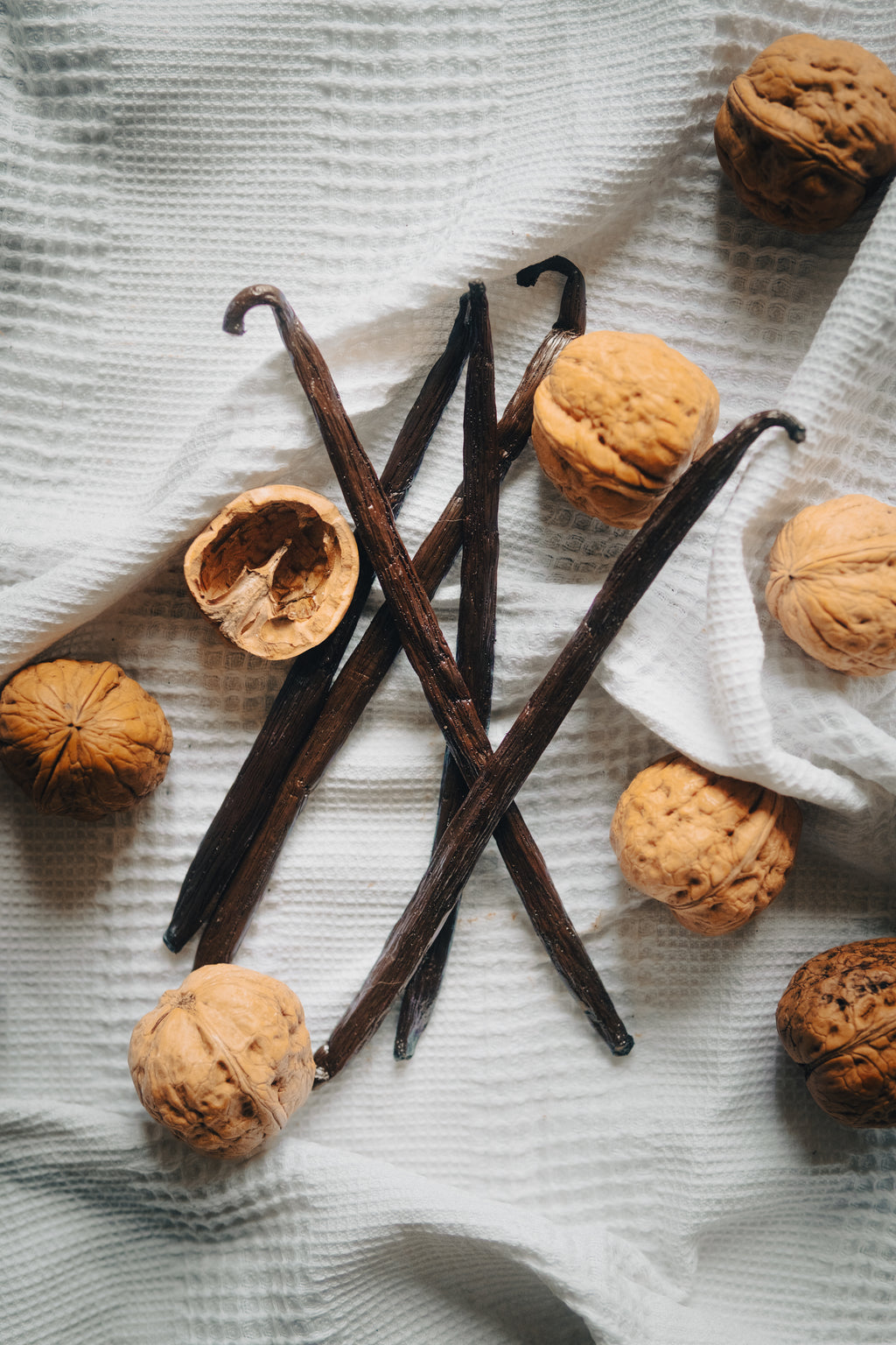 Vanille Bourbon Premium "TK" - Madagascar (+16cm)