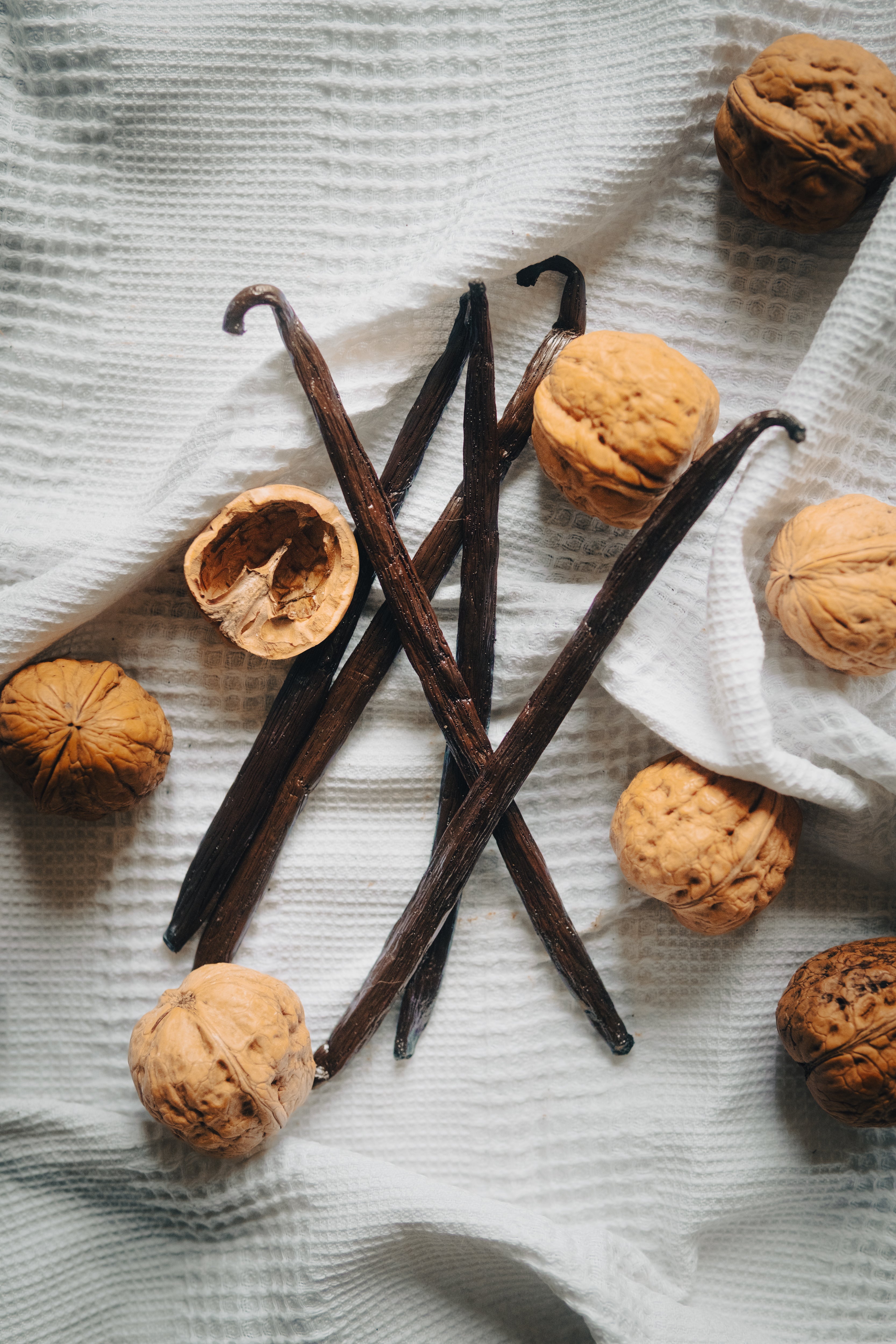 Vanille Bourbon Premium "TK" - Madagascar (+16cm)