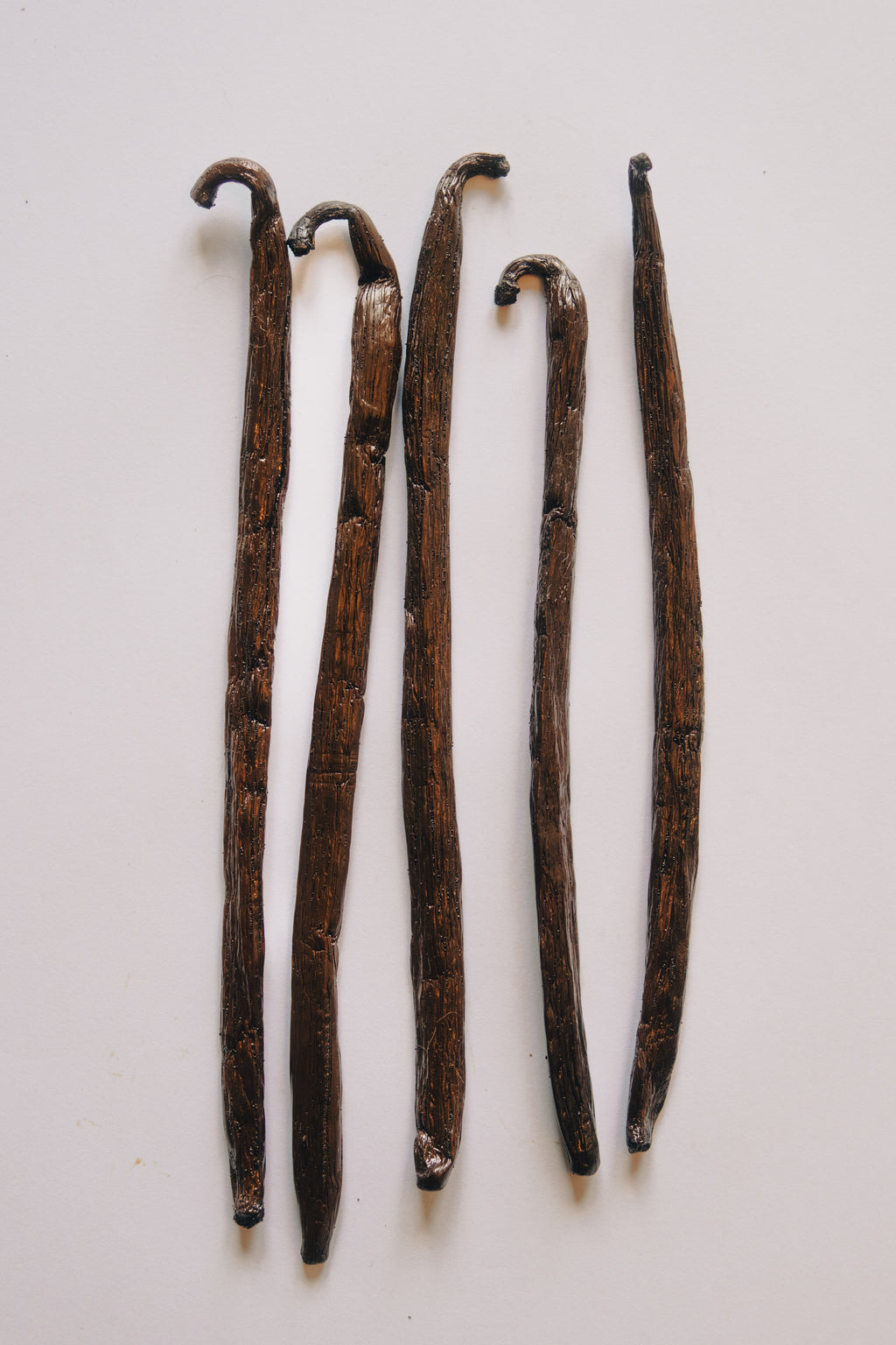 Vanille Bourbon Premium "TK" - Madagascar (+16cm)