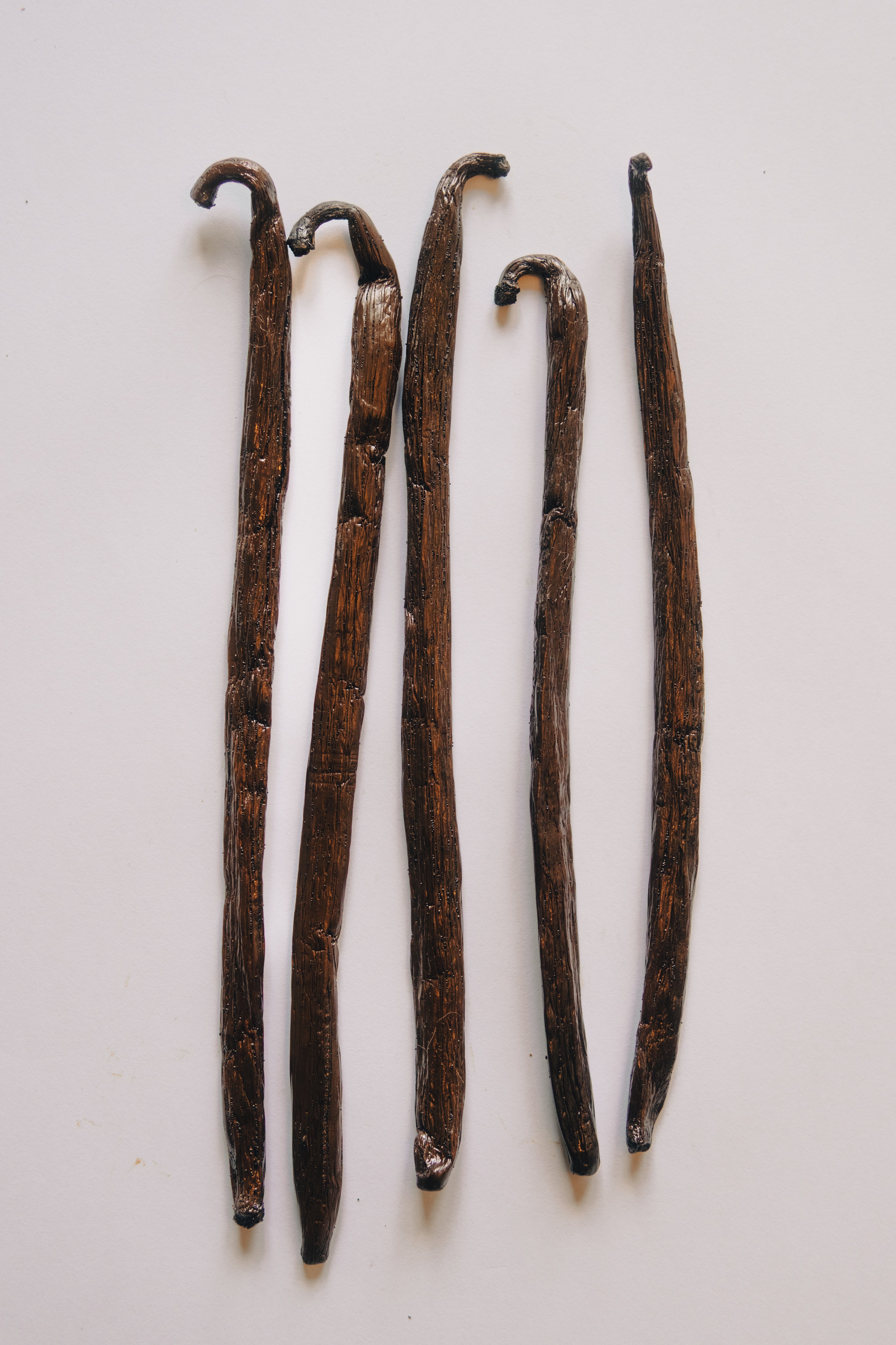 Vanille Bourbon Premium "TK" - Madagascar (+16cm)