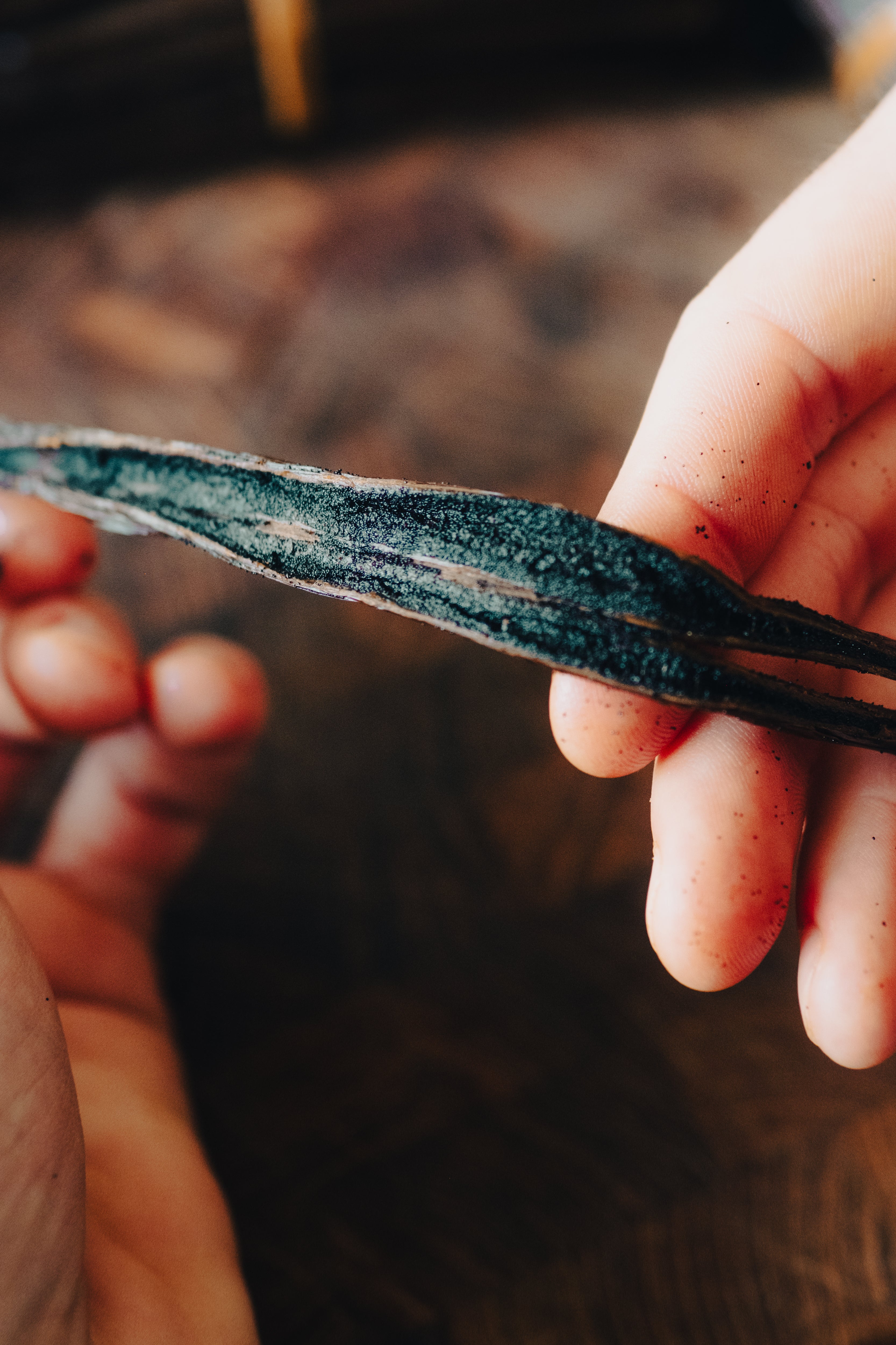 Vanille Bourbon Gourmet "Grand Cru" XXL (+18cm)