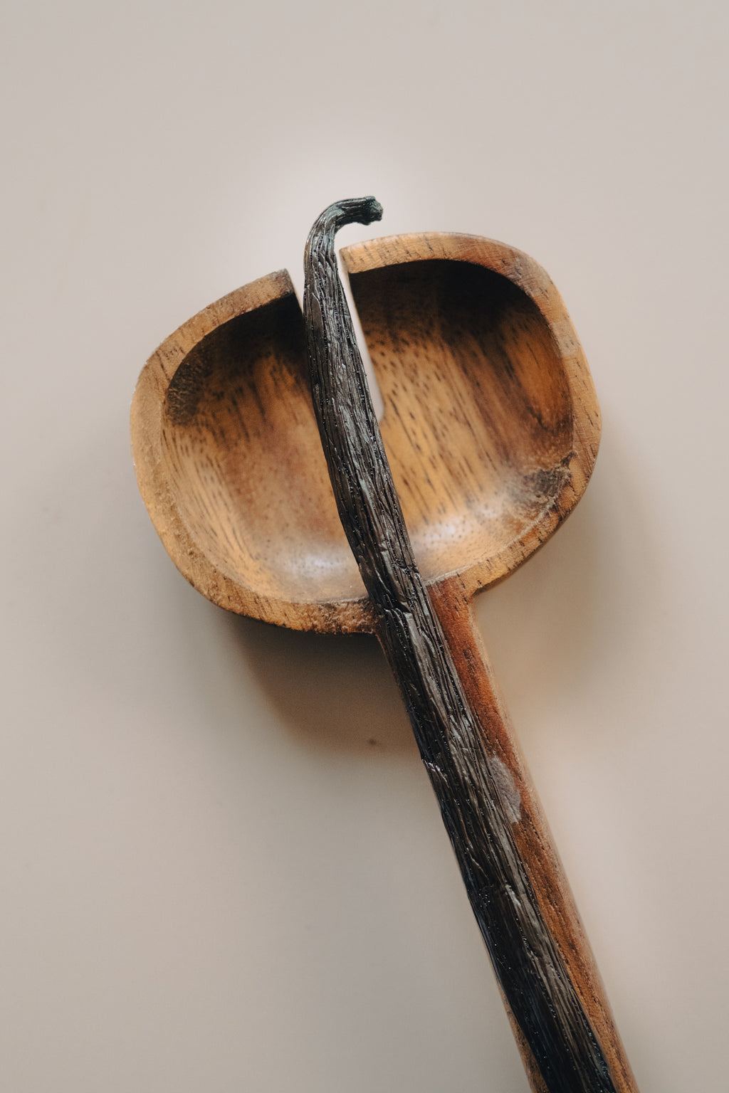 Vanille Bourbon Premium "TK" - Madagascar (+16cm)