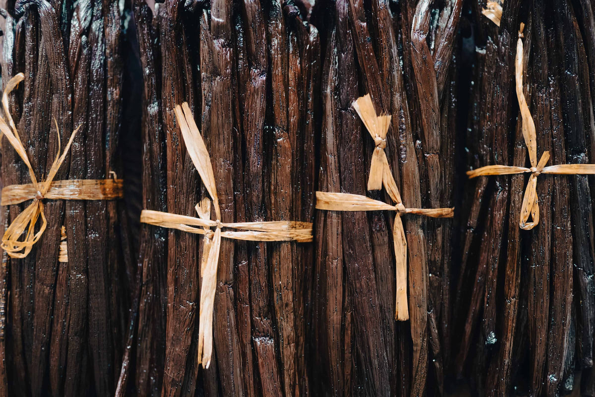 Bannière Comptoir Manitra, vanille Bourbon de Madagascar direct producteur