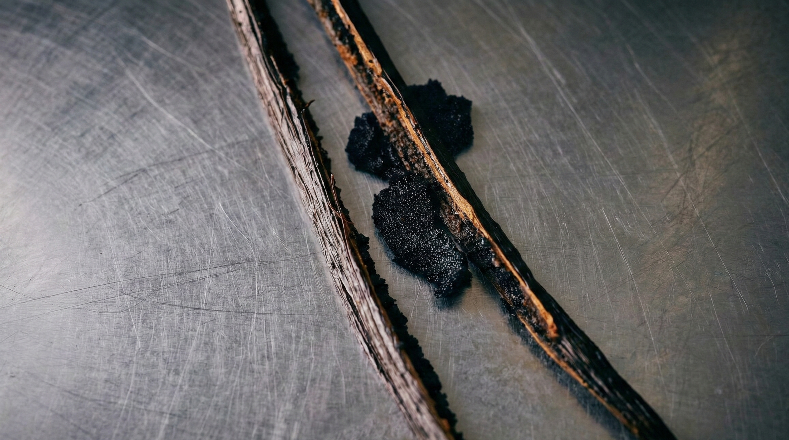 Gros plan sur le caviar de vanille Bourbon de Madagascar et les grains noirs riches en vanilline d'une gousse fendue