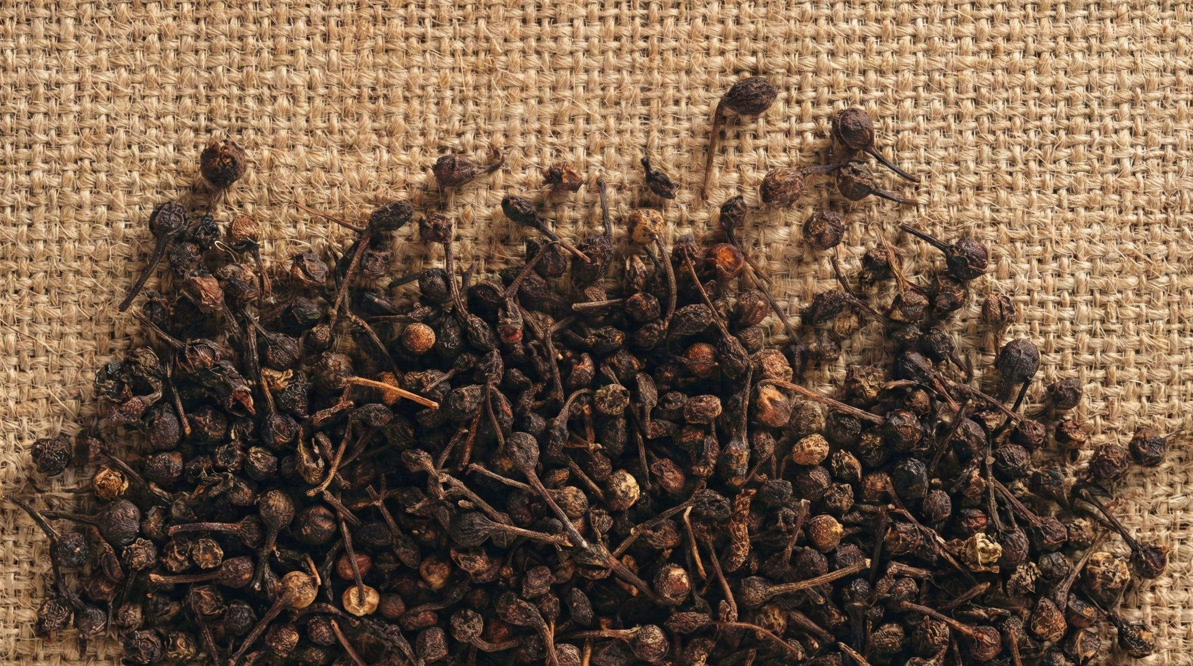 Grains de poivre sauvage Voatsiperifery de Madagascar (poivre à queue) sur toile de jute épice rare