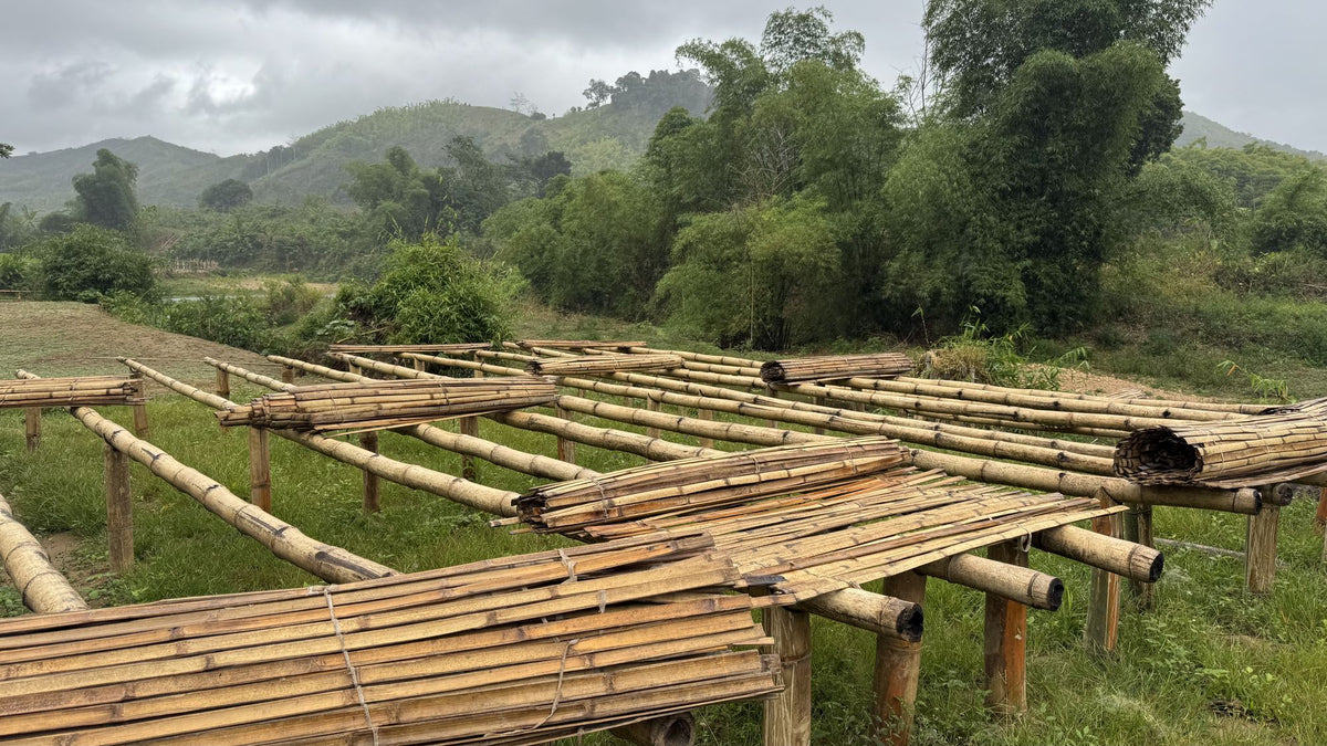 Tables de séchage de la vanille en bambou dans une vallée de la région SAVA, à Madagascar